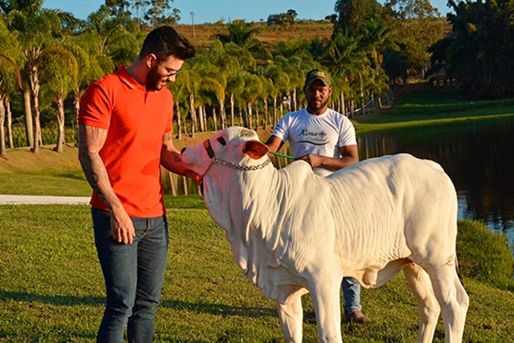 Fazenda do cantor sertanejo Gusttavo Lima (Foto: Reprodução Internet)