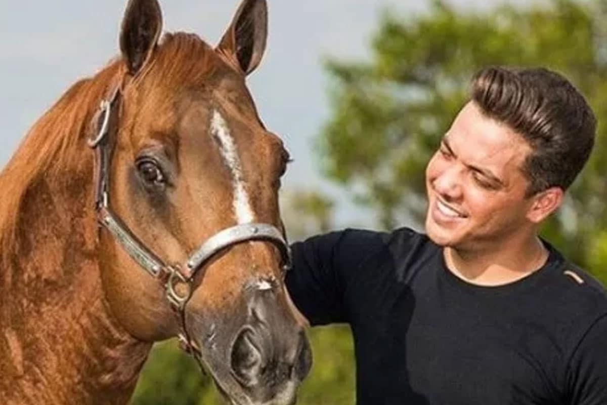 Luxo e Sofisticação: Conheça o Haras WS, o Reino Milionário de Wesley Safadão no Ceará! (Foto: Reprodução Instagram)