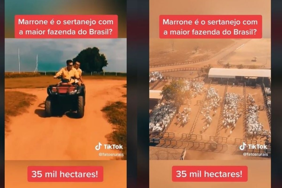 Imagens da Fazenda de Marrone (Foto: Reprodução)