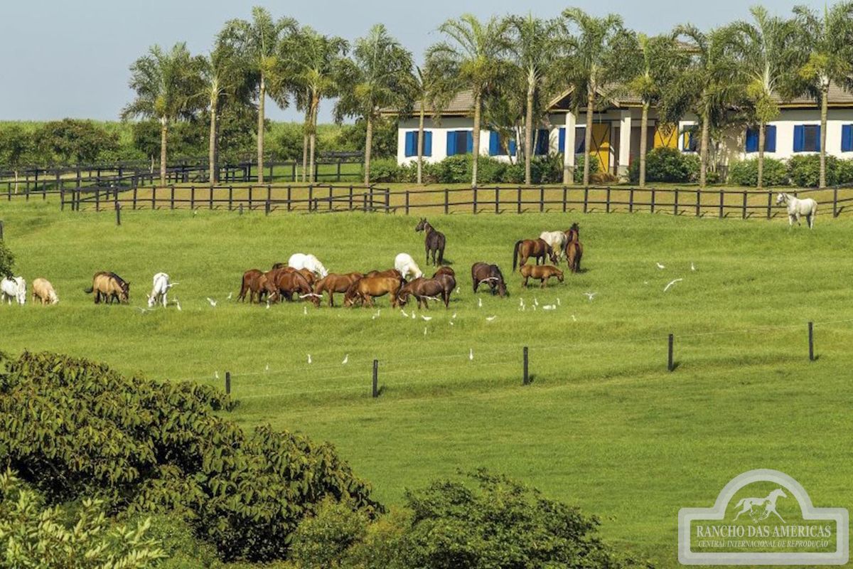 (Foto: Reprodução/Site Oficial Rancho das Américas)