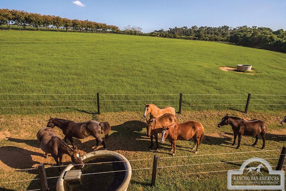 (Foto: Reprodução/Site Oficial Rancho das Américas)