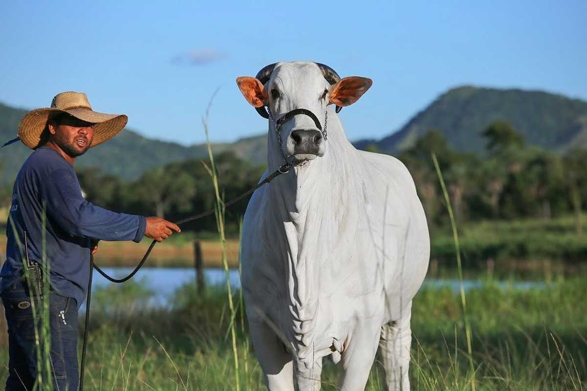 (Foto: Reprodução/Instagram)